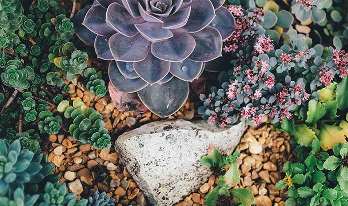 Optimiser l'agencement naturel pour l'am&eacute;nagement de votre jardin